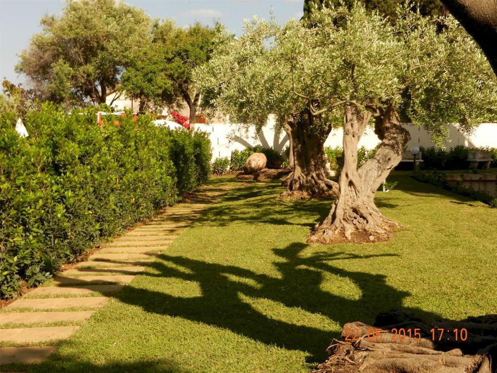 Villa Collina جيارديني ناكسوس المظهر الخارجي الصورة