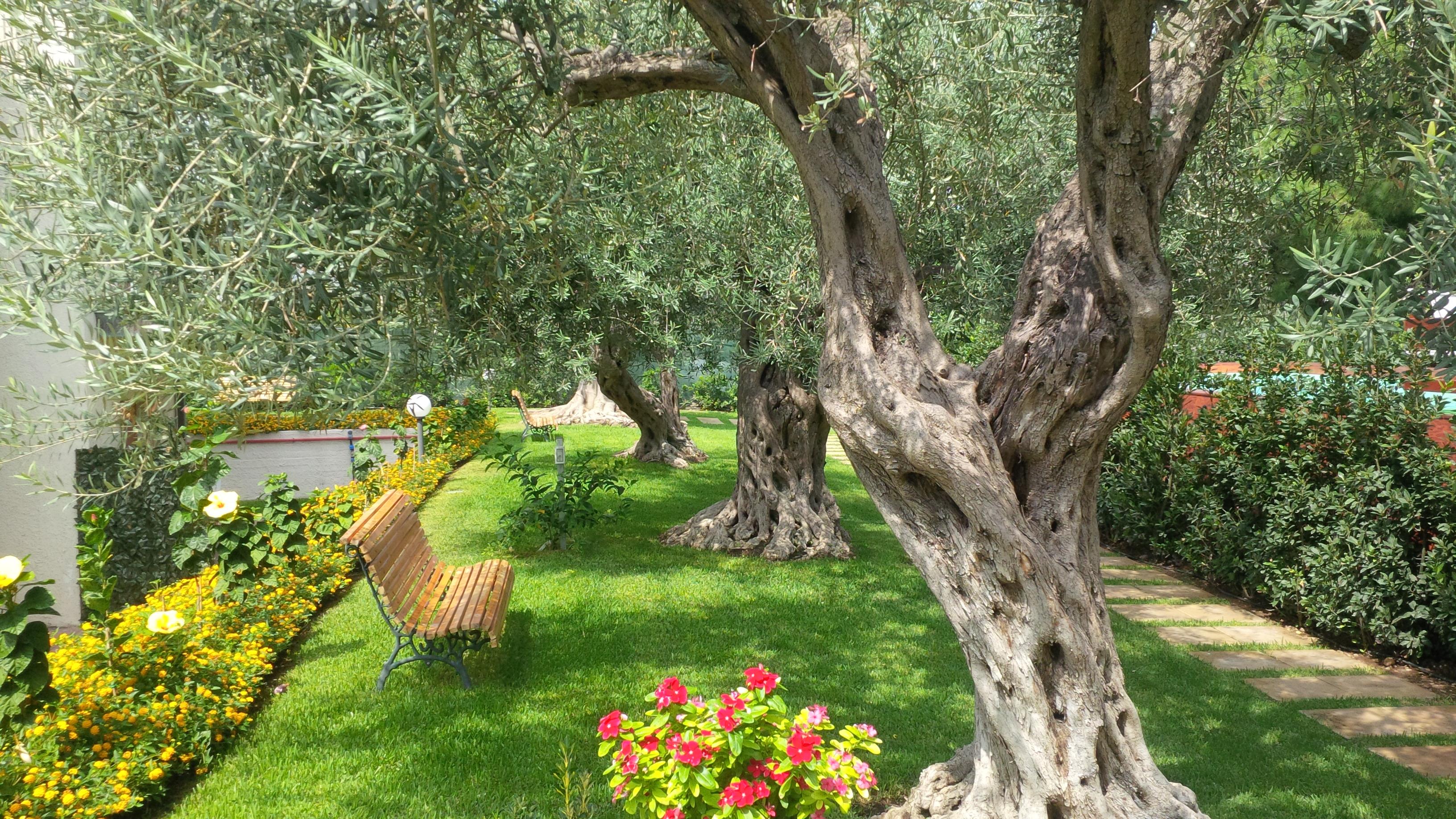 Villa Collina جيارديني ناكسوس المظهر الخارجي الصورة