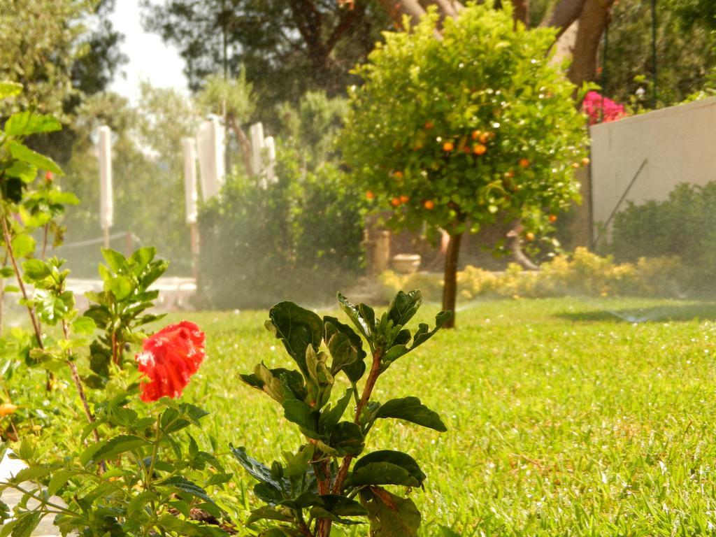 Villa Collina جيارديني ناكسوس المظهر الخارجي الصورة